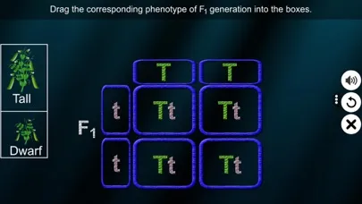Monohybrid Cross應用截圖