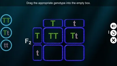 Monohybrid Cross應用截圖