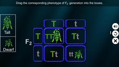 Monohybrid Cross應用截圖