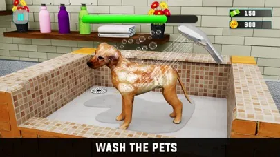 Virtual Pet Adoption Simulator Ekran Görüntüleri