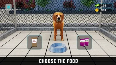 Virtual Pet Adoption Simulator Ekran Görüntüleri
