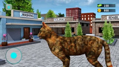 Virtual Pet Adoption Simulator Ekran Görüntüleri