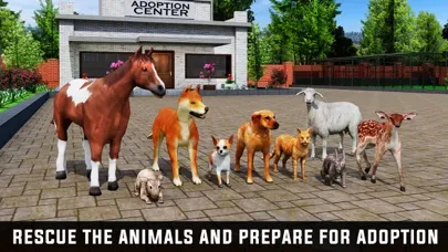 Virtual Pet Adoption Simulator Ekran Görüntüleri