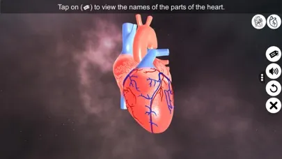 تصاویر Heart - An incredible pump