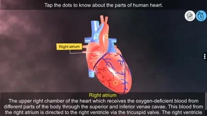 تصاویر Heart - An incredible pump