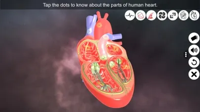 تصاویر Heart - An incredible pump