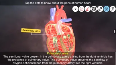 تصاویر Heart - An incredible pump