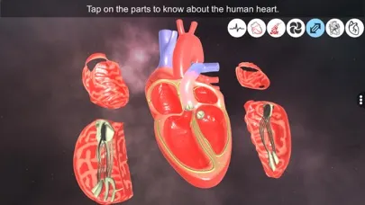 تصاویر Heart - An incredible pump