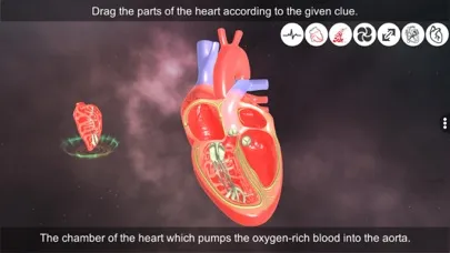 تصاویر Heart - An incredible pump