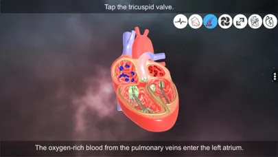 تصاویر Heart - An incredible pump