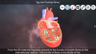 تصاویر Heart - An incredible pump