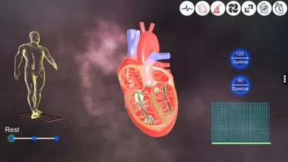 تصاویر Heart - An incredible pump