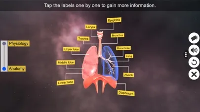 ภาพหน้าจอของ Respiratory System Physiology