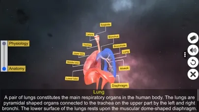 ภาพหน้าจอของ Respiratory System Physiology