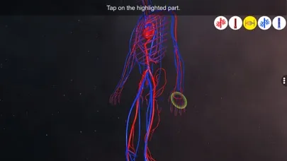 Vascular system應用截圖