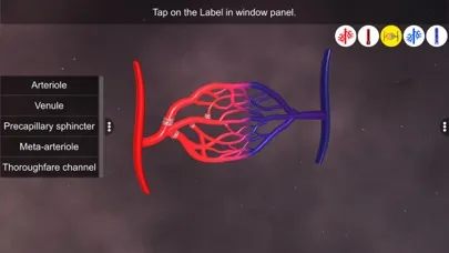 Vascular system應用截圖