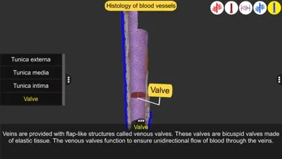 Vascular system應用截圖
