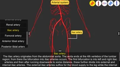 Vascular system應用截圖