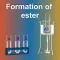 Formation of Ester