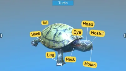Diversity in Living: Reptilia Ekran Görüntüleri