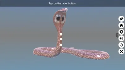 Diversity in Living: Reptilia Ekran Görüntüleri