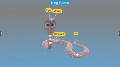 Diversity in Living: Reptilia Ekran Görüntüleri
