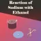 Reaction: Sodium with Ethanol