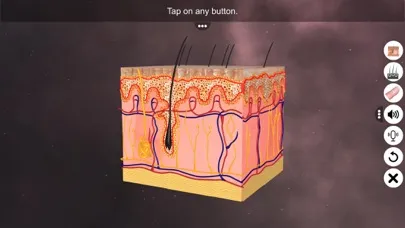 Capturas de pantalla de Skin: Integumentary System