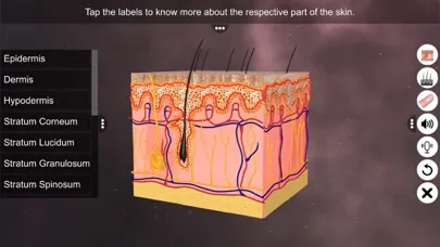 Capturas de pantalla de Skin: Integumentary System