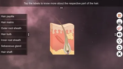 Capturas de pantalla de Skin: Integumentary System