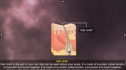 Capturas de pantalla de Skin: Integumentary System