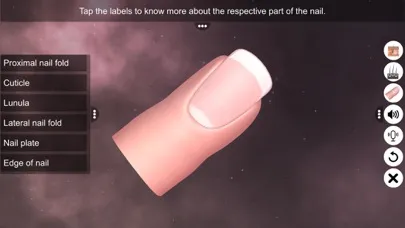 Capturas de pantalla de Skin: Integumentary System