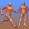 Learn Muscular System