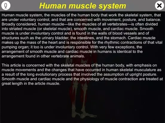 Learn Muscular System iPad  سکرین شاٹس