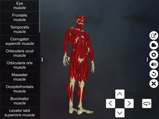 Learn Muscular System iPad  سکرین شاٹس