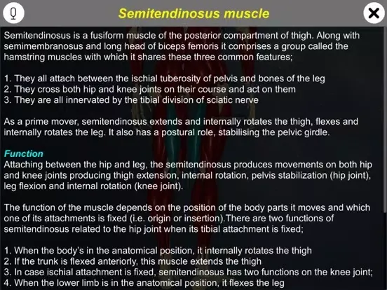 Learn Muscular System iPad  سکرین شاٹس