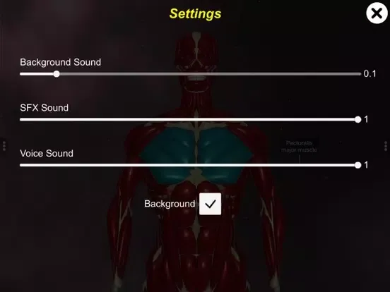Learn Muscular System iPad  سکرین شاٹس
