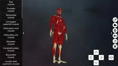 Learn Muscular System سکرین شاٹس