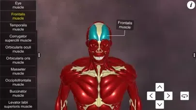 Learn Muscular System سکرین شاٹس
