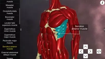 Learn Muscular System سکرین شاٹس