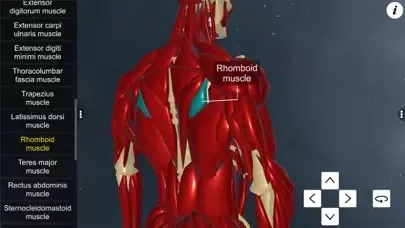 Learn Muscular System سکرین شاٹس