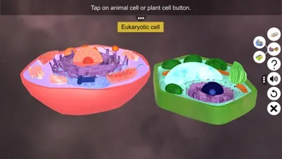 تصاویر Prokaryotic & Eukaryotic cell