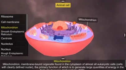 تصاویر Prokaryotic & Eukaryotic cell
