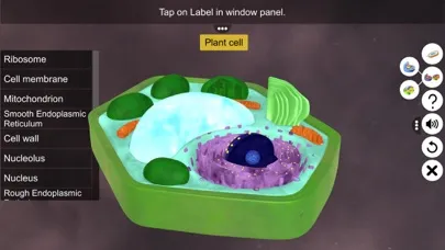 تصاویر Prokaryotic & Eukaryotic cell