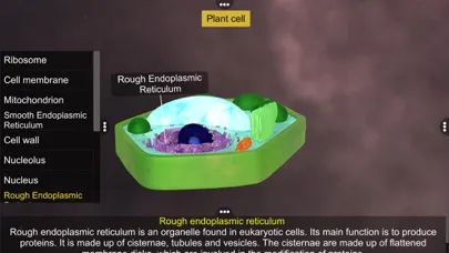 تصاویر Prokaryotic & Eukaryotic cell