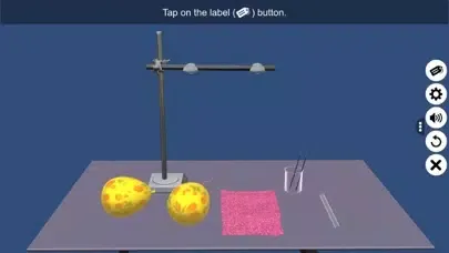 Tangkapan skrin Types of Charges