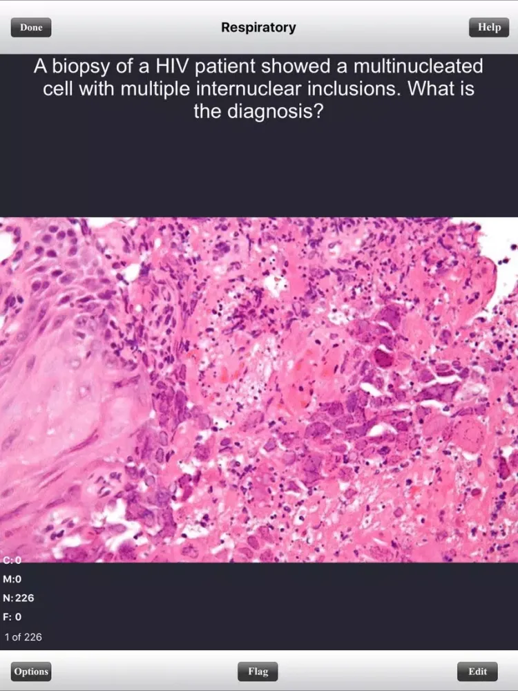 Ảnh chụp màn hình của COMLEX Level 1 Flashcards iPad 
