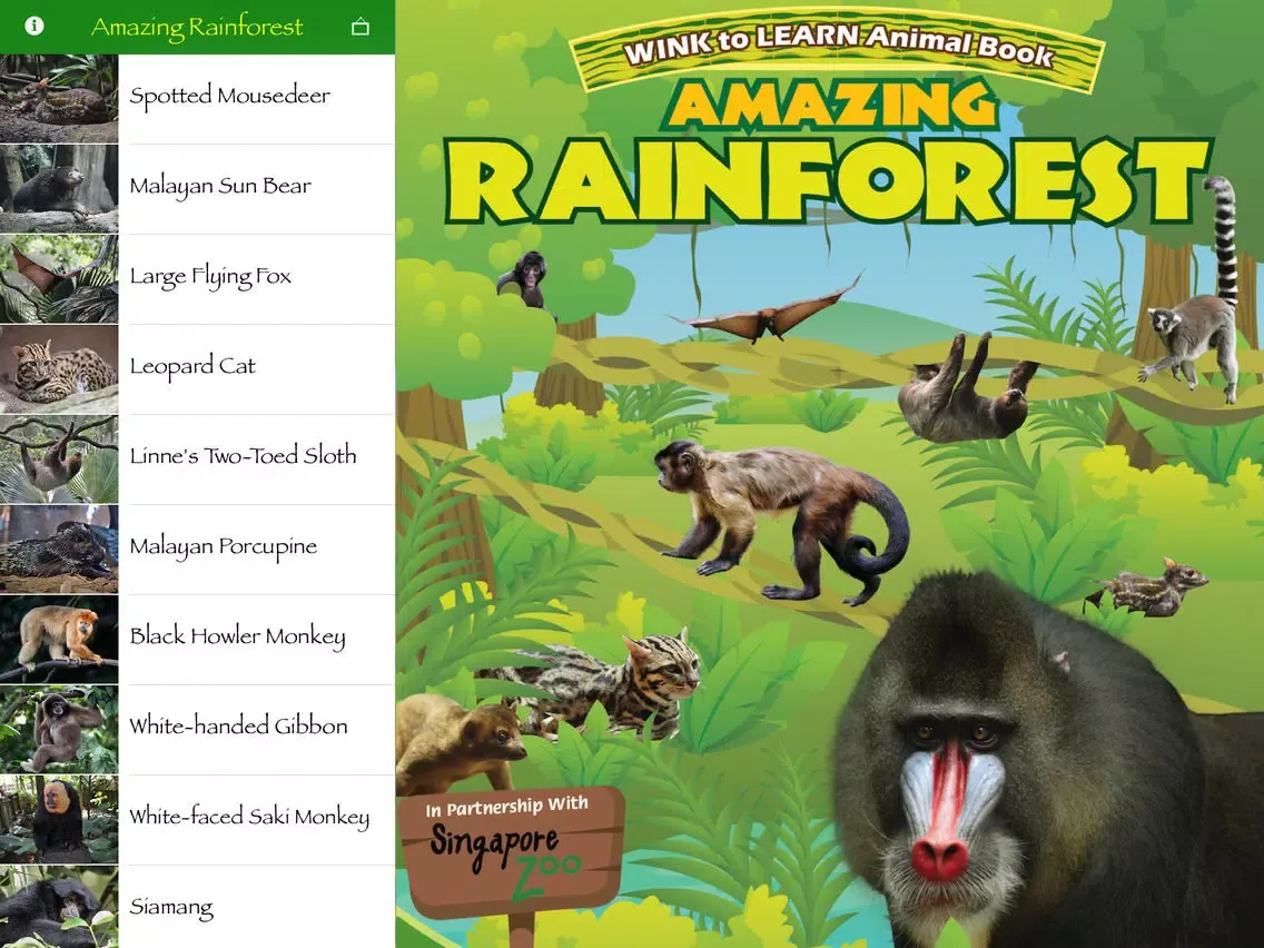 Screenshot di Amazing Rainforest iPad 
