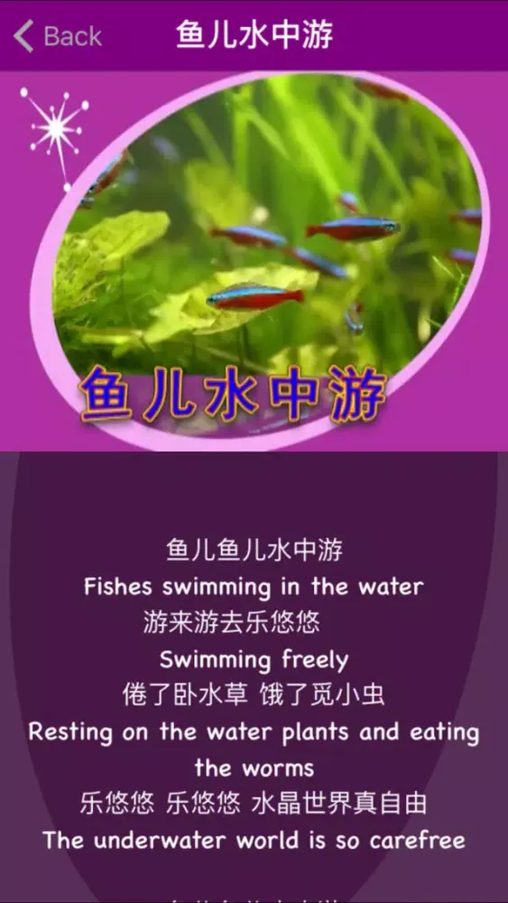 Sing to Learn Chinese 4应用截图