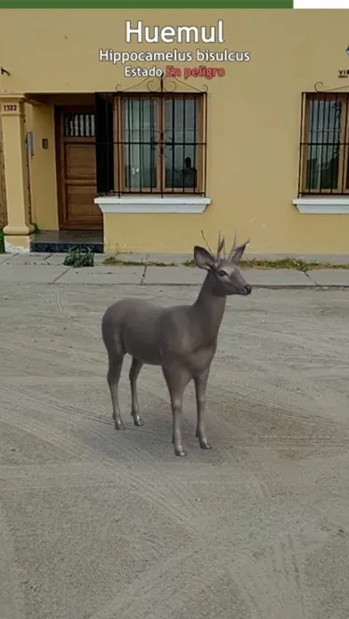 Fauna GO स्क्रीनशॉट
